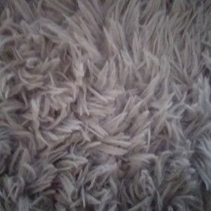 Meet your Posher, Bradley